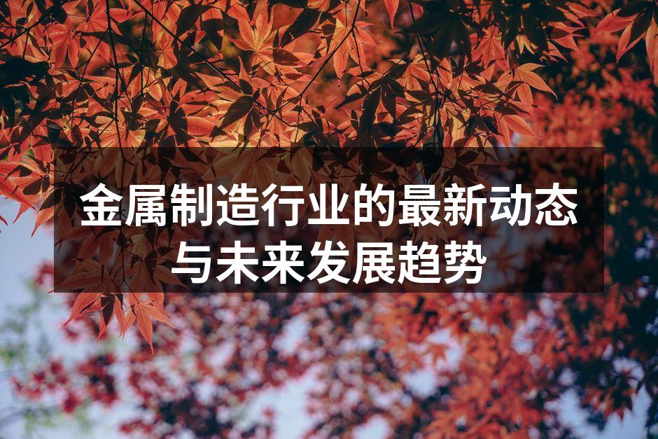 金属制造行业的最新动态与未来发展趋势